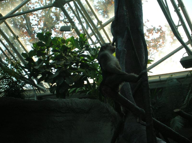 Foto: ZOO-Troja-Tady vel�m j�!