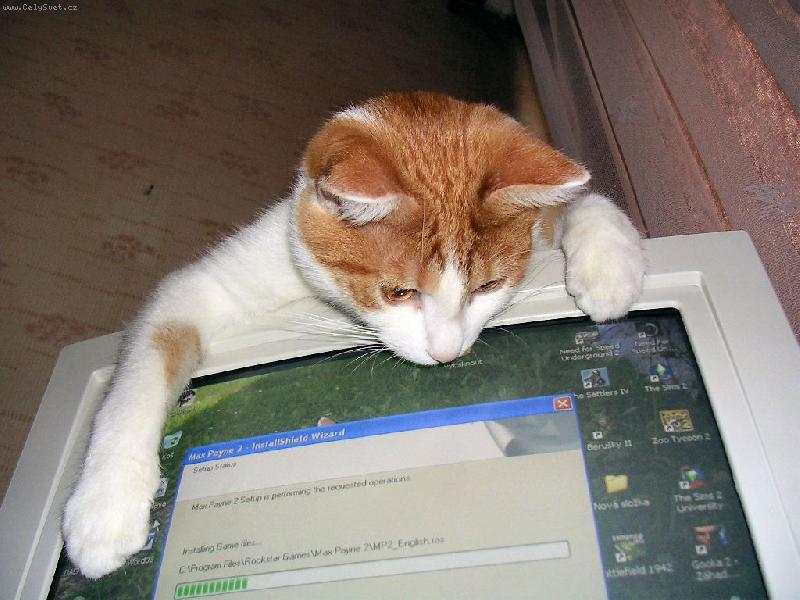 Foto: takovouhle my� jsem je�t� nevid�l