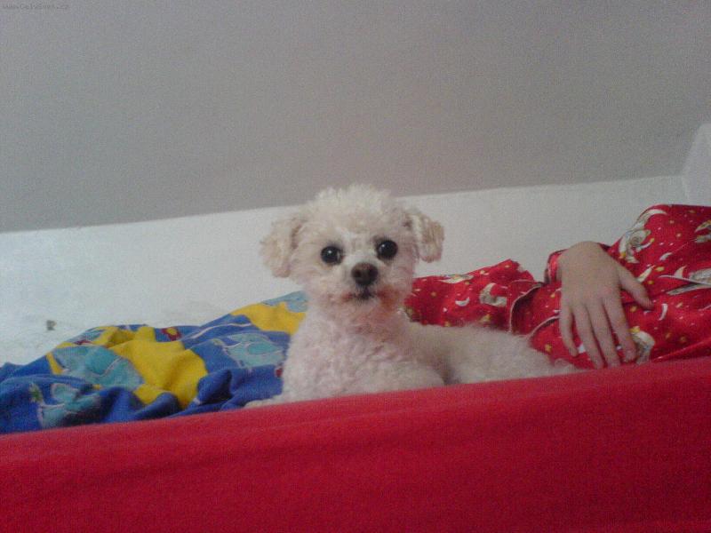 Foto: Elis