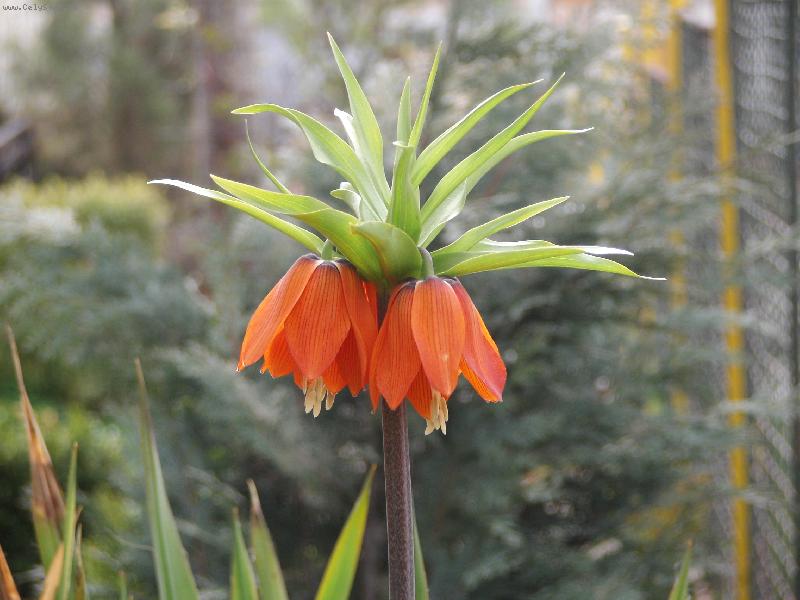 Foto: Jarn� skalka