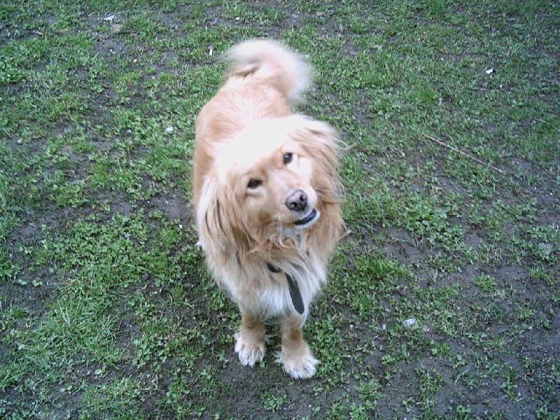 Foto: �sm�v =)-No jo to je m�j Dane�ek! =)