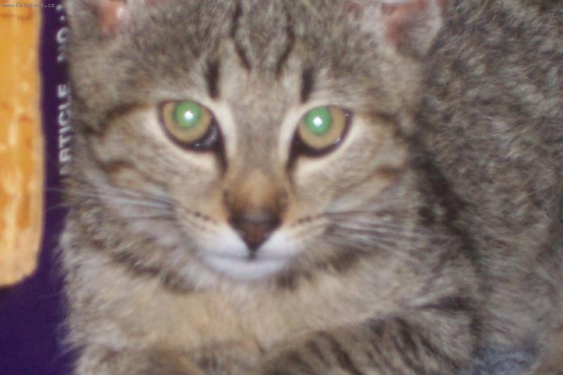 Foto: Max-hlubok� pohled...