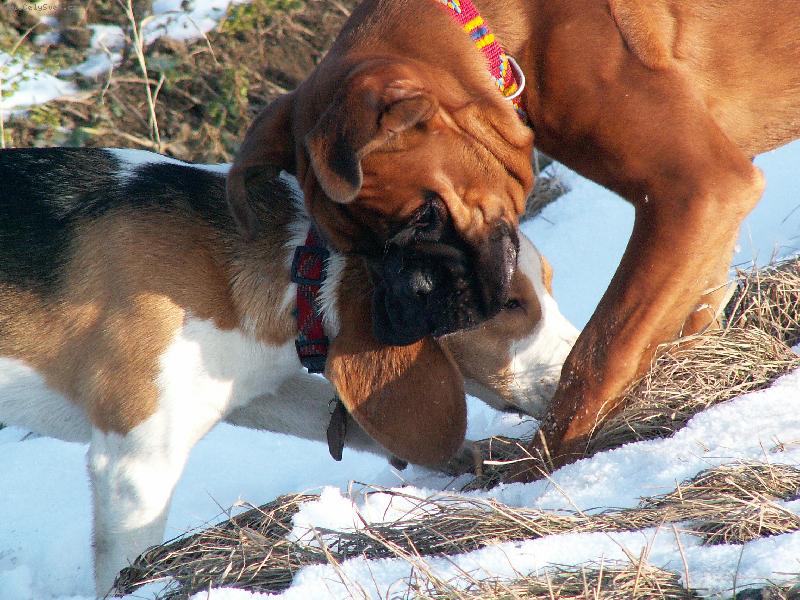 Foto: nejlep�� kamar�di