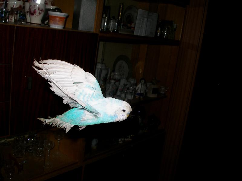 Foto: N� Pep��ek