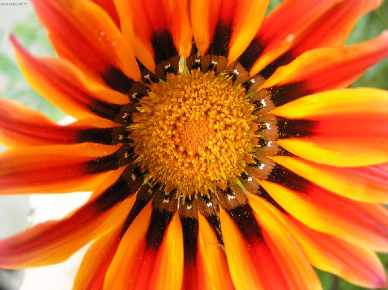 Foto: Pohled do kv�tu