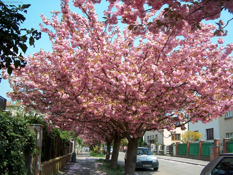 Foto: Jaro na Kam�ku