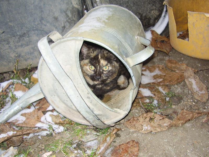 Foto: Tady m� nenajde-Nekoukej!!