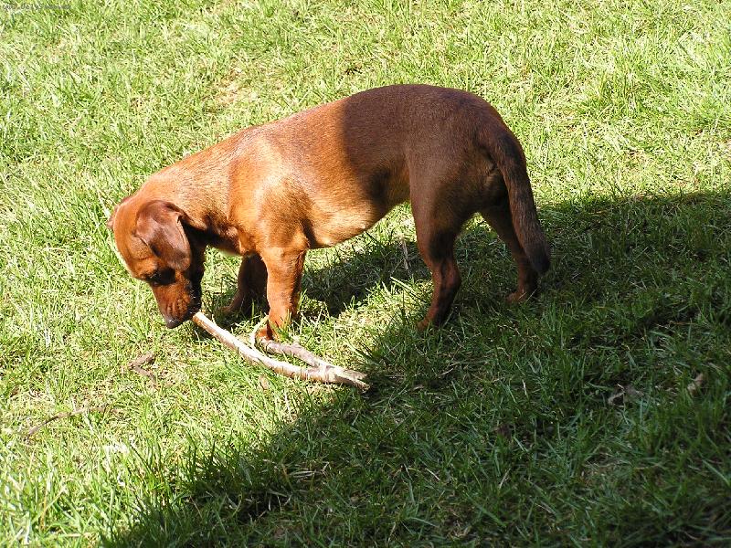 Foto: pohodi�ka na chat�-u� m�m klacek