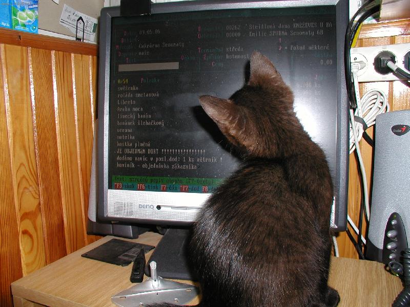 Foto: co je tam zaj�mav�ho?