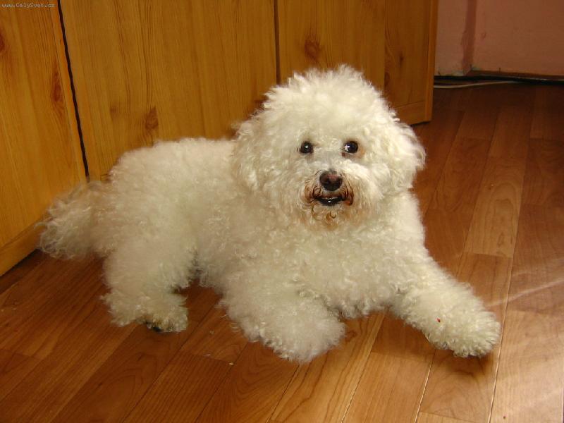 Foto: kdy zas budem lumpa�it?