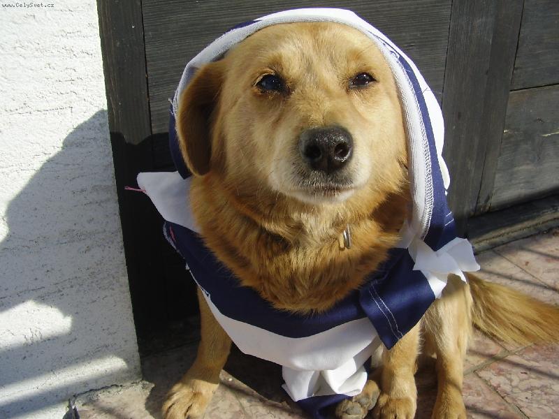 Foto: M�j nov� model od m� pani,kter� je 12-neu model