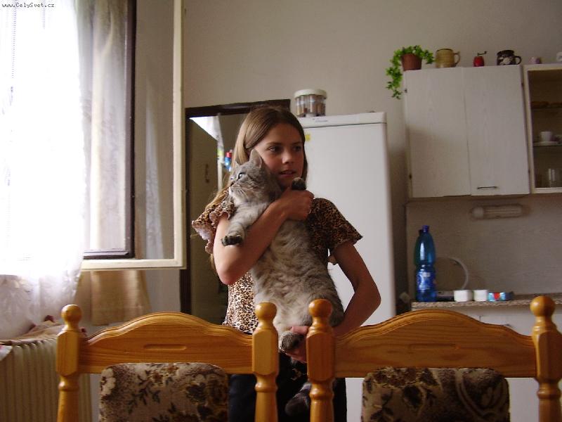 Foto: M�mu kocourkovi jde o jedno,aby mohl b�t venku