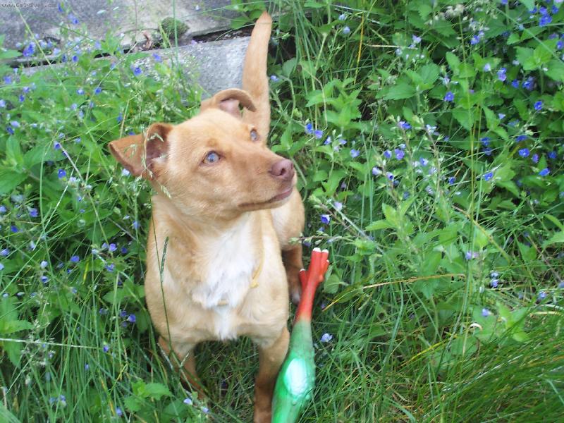 Foto: Zv�dav� Reza!