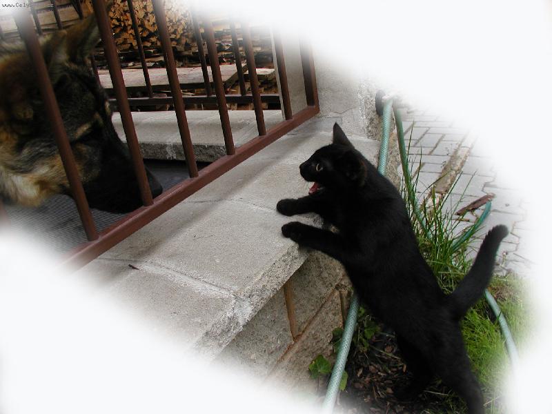 Foto: Zdrav�m k�mo , jak jeeeeeeee ?