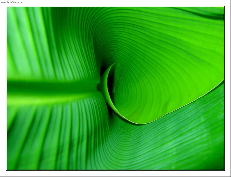 Foto: Akt-List ban�novn�ku