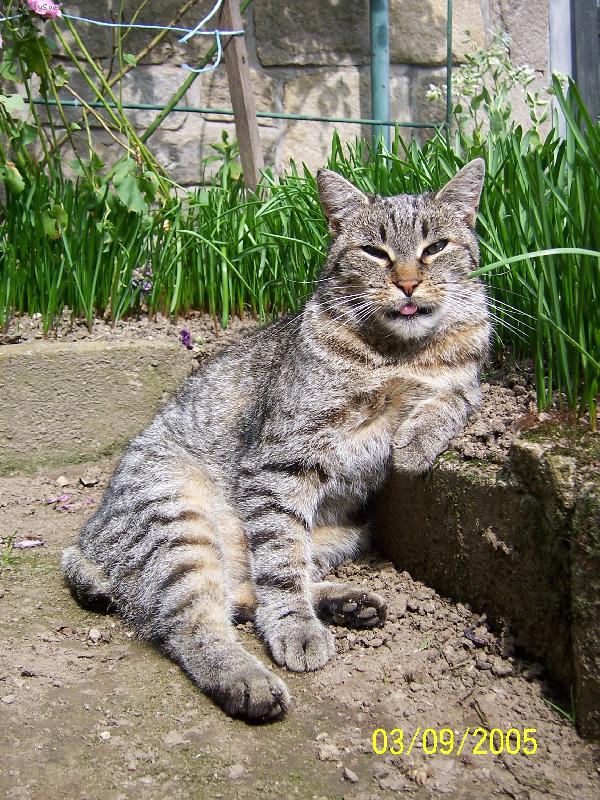 Foto: Zlat��ko!!-Odpoledn� siesta