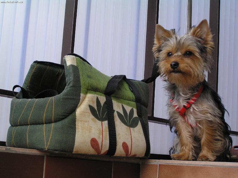 Foto: Ricky