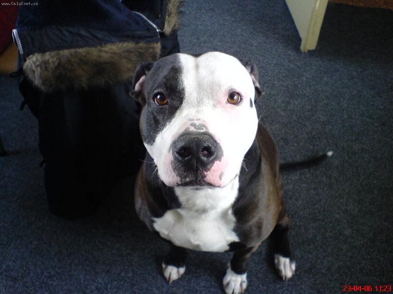 Foto: Caesar