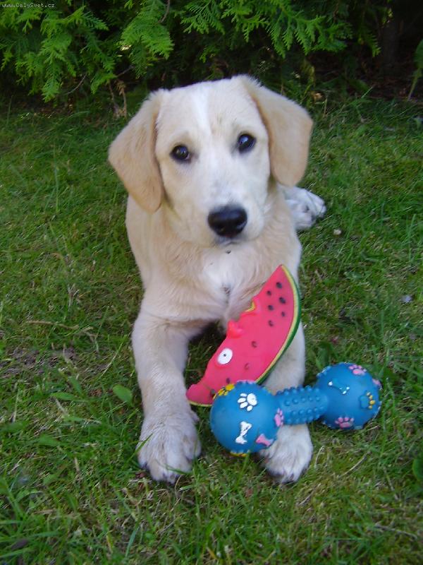 Foto: To jsou moje hra�ky.-Moje hra�ky :).