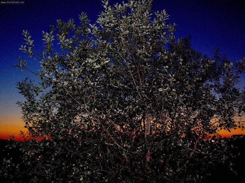 Foto: V z�padu slunce