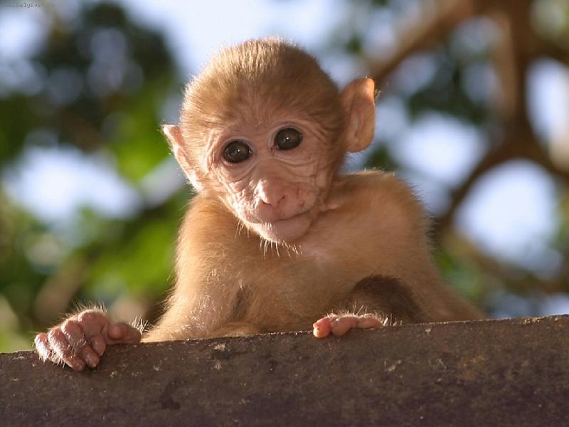 Foto: opi�ka-Tak to jsem j�!