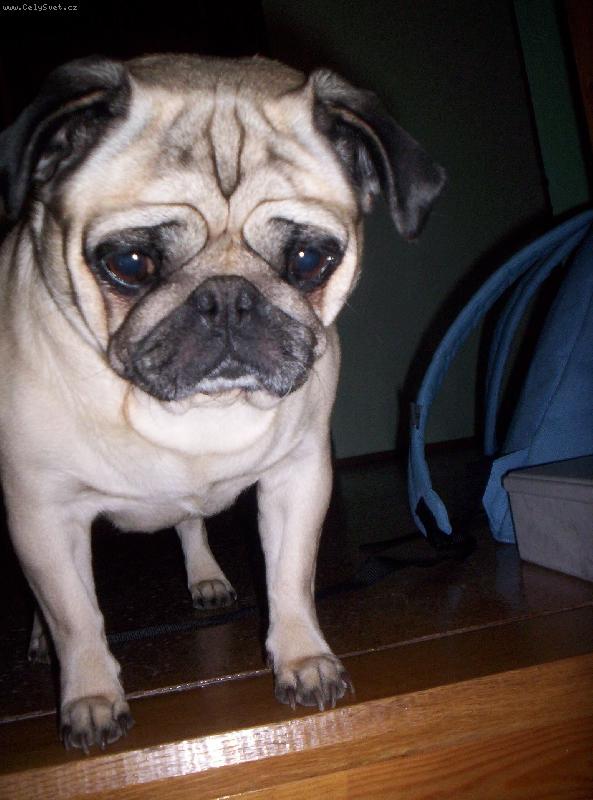 Foto: N� poklad �jinka