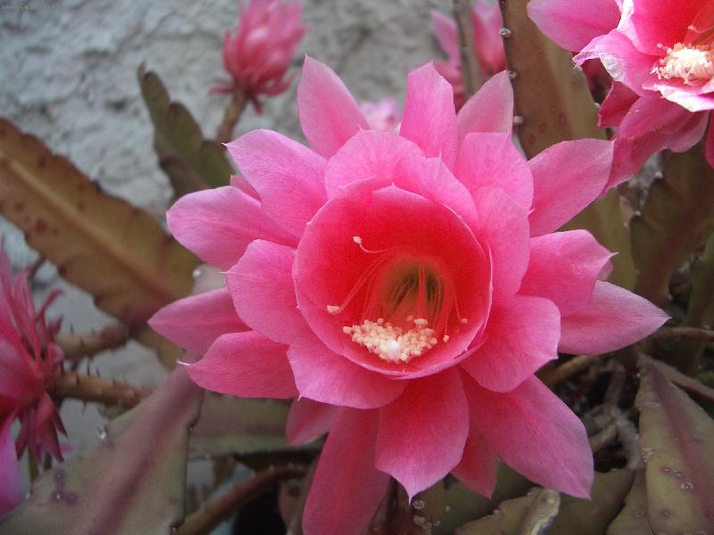 Foto: DETAIL