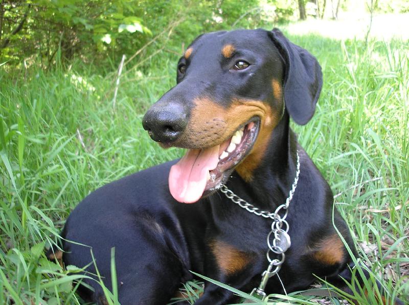 Foto: Sorbon
