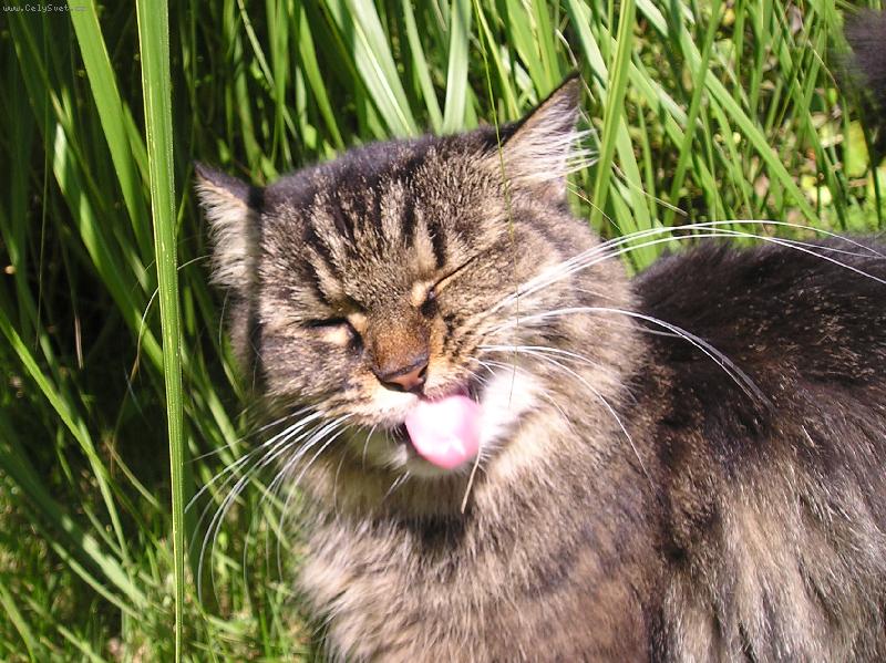 Foto: jazy�isko :-P