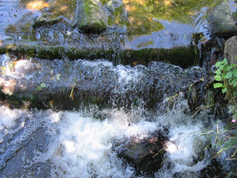 Foto: Macourovsk�-potok-�eskomoravsk�  Vyso�ina