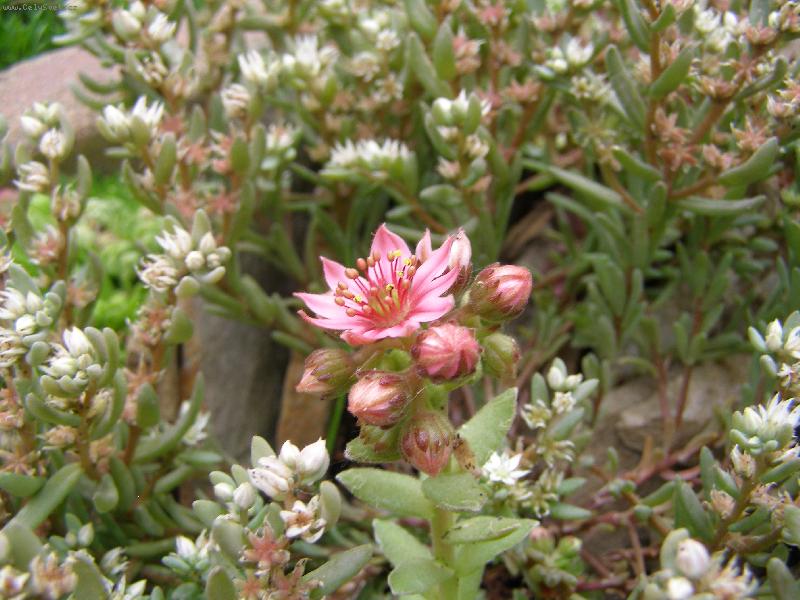 Foto: je�t� jednou net�esk