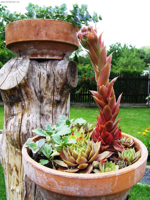 Foto: Minizahr�dka-Minizahr�dka na star� jabloni....