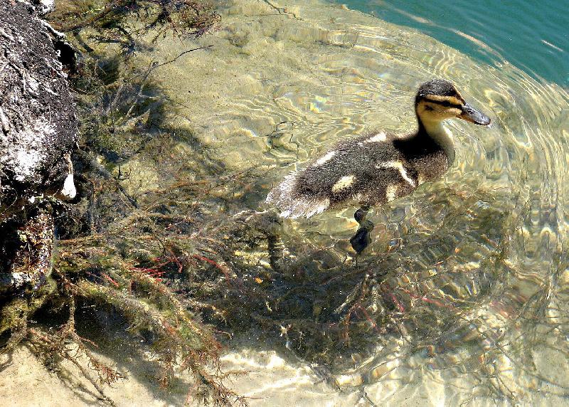 Foto: N�KDY JE �IVOT KR�SN�