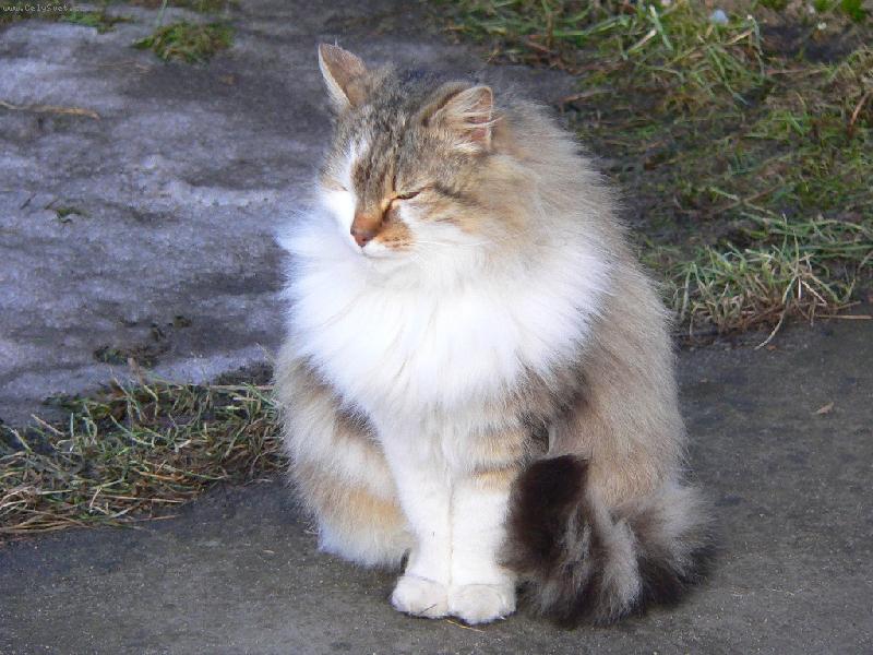 Foto: Na�e Baronka-Spokojenost