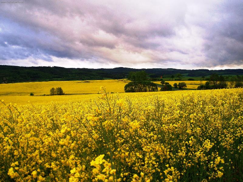 Foto: Za v�tru p�ed bou�kou