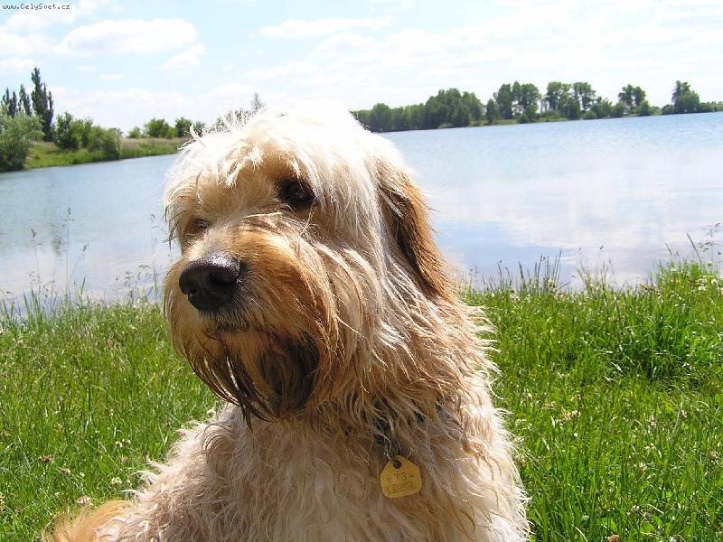 Foto: Mat�j-Prost� Mat�j