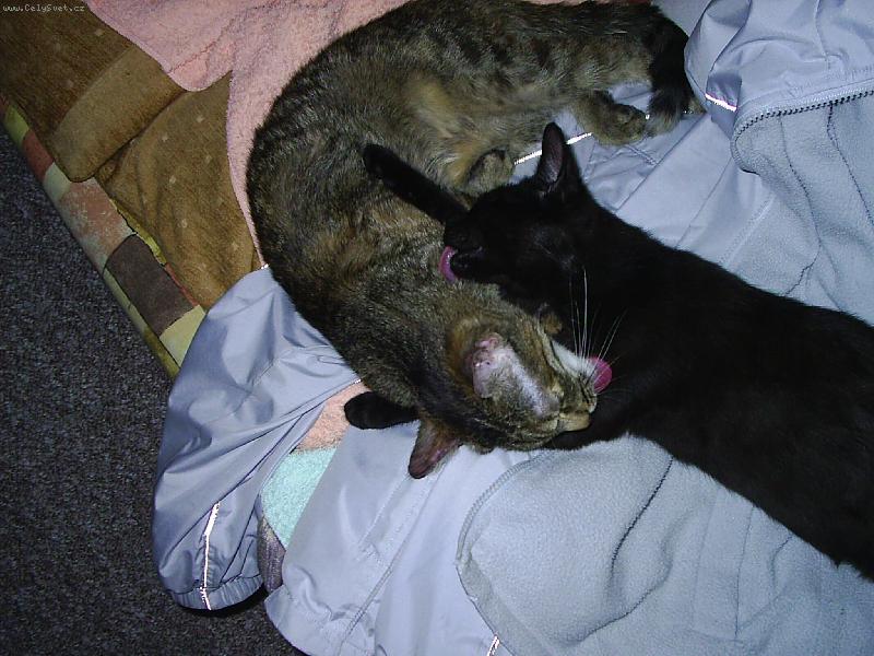 Foto: vz�jemn� hygiena...