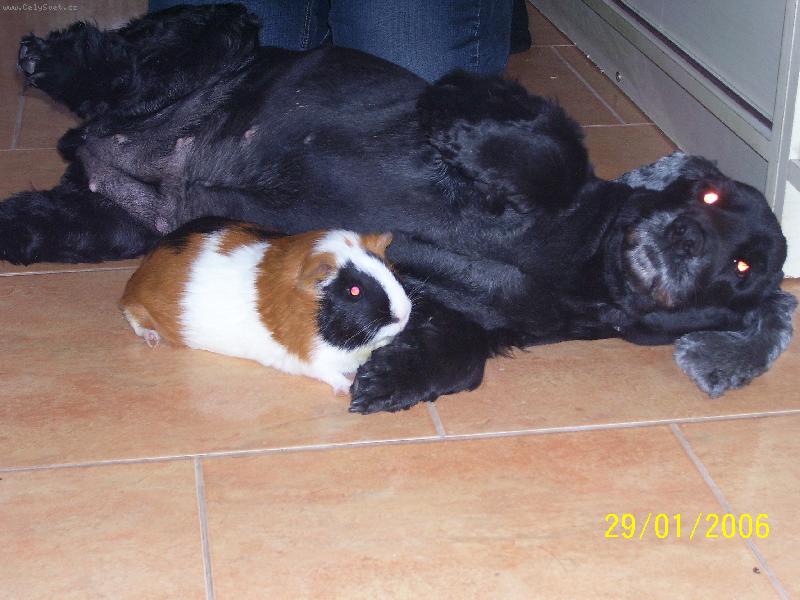 Foto: Deb�a a Mik�a-Dva kamar�di