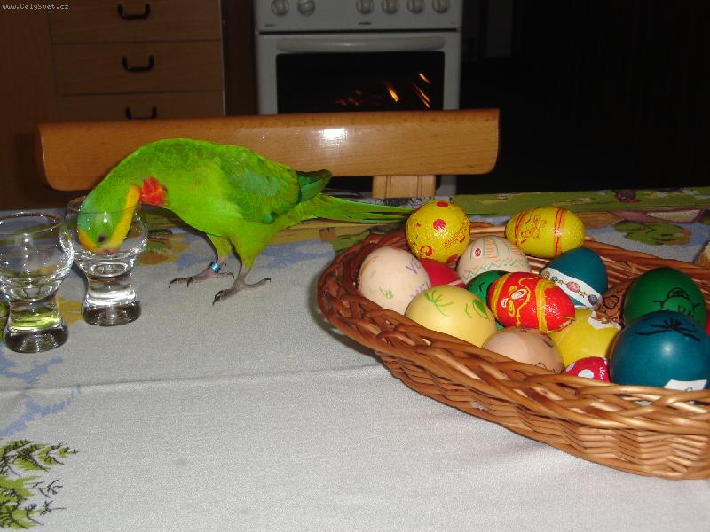 Foto: N� mat�sek-Ani kapku mi nenechali...