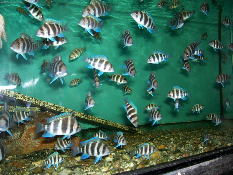 Foto: tak si tu plavem.....