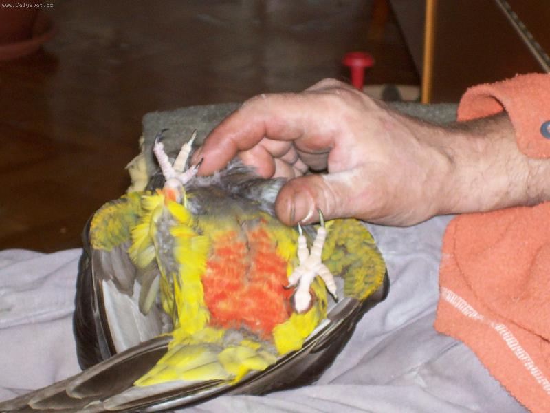 Foto: siesta-....����,to je to p��jemn�....