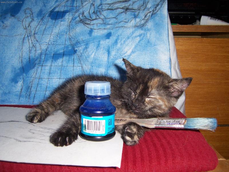 Foto: znaven� mal��