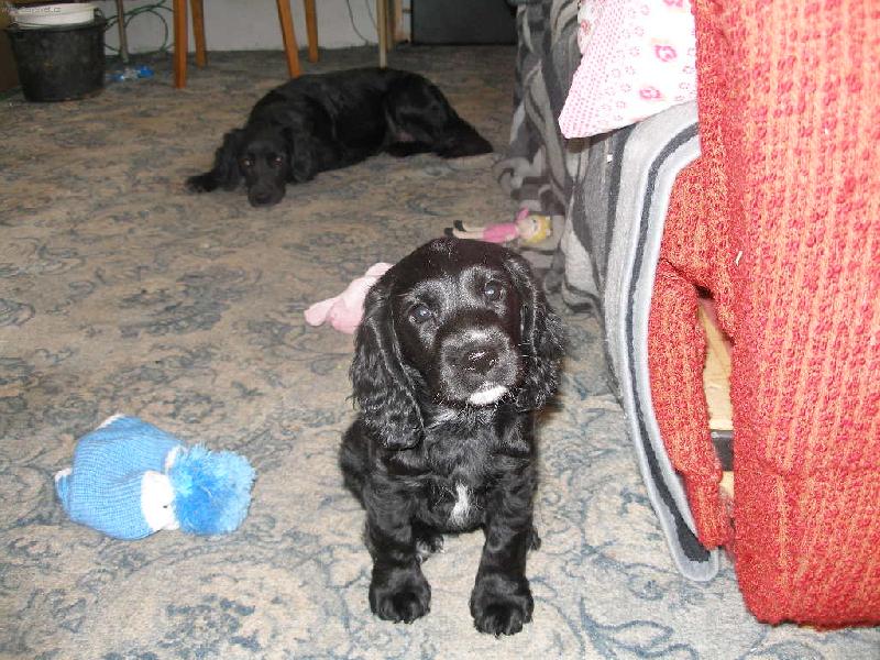 Foto: Na�e Baru�enka