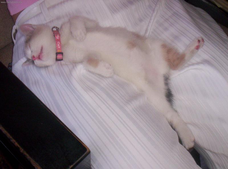 Foto: A takhle spink�me. :-)