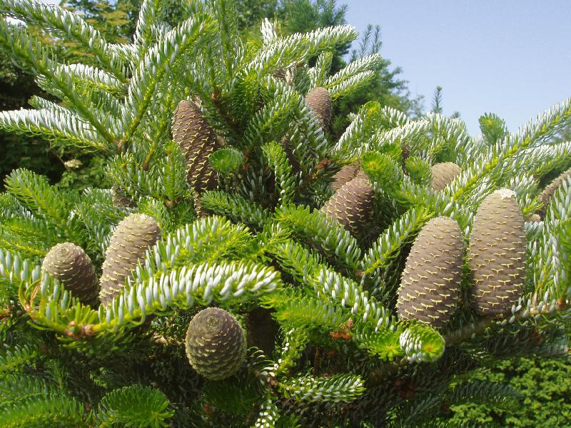 Foto: �i�ti�ky