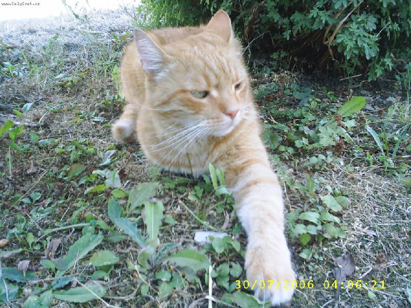 Foto: Fil�pek-U� j� vid�m