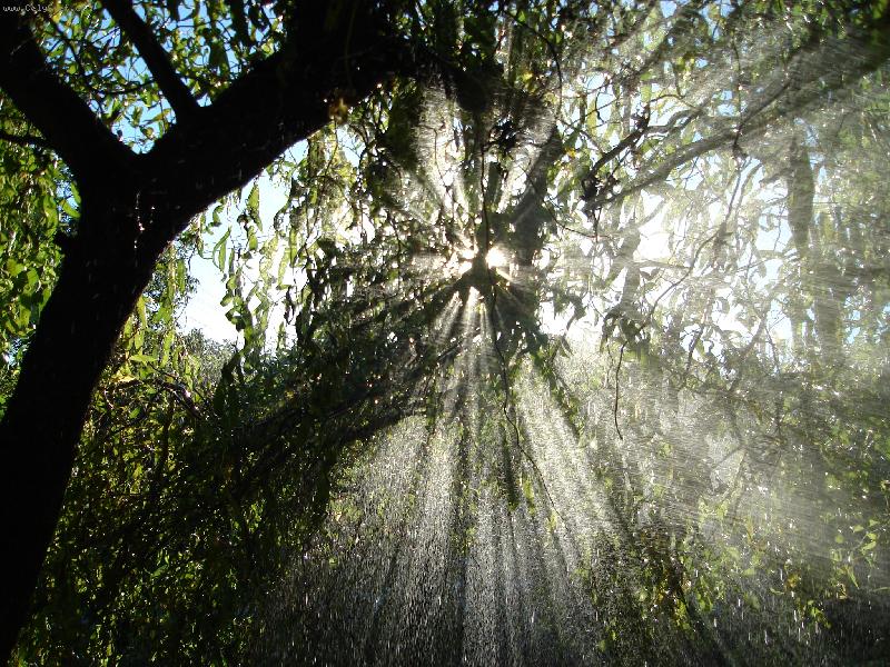 Foto: N�hle se mi rozjasnilo...