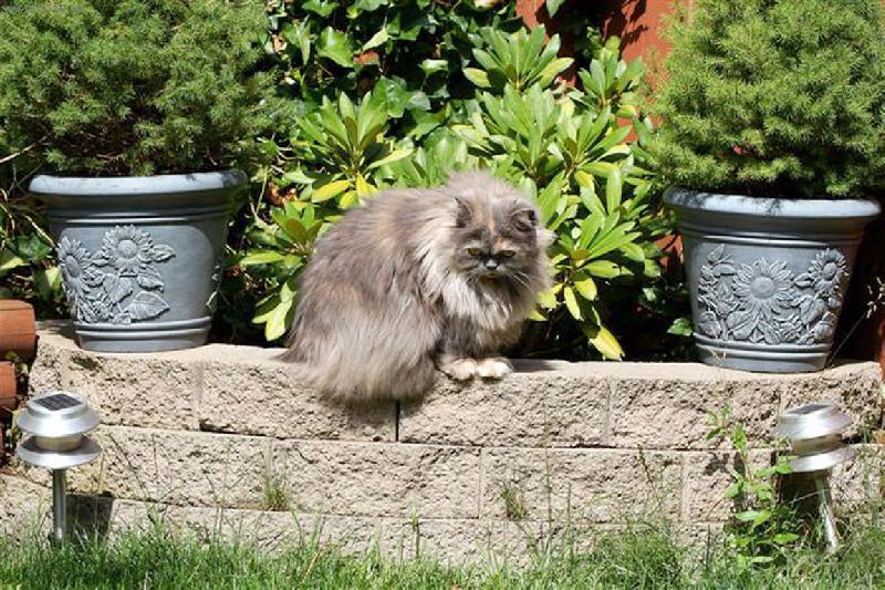 Foto: kdepak je ta my�ka..-micka na ��han�..