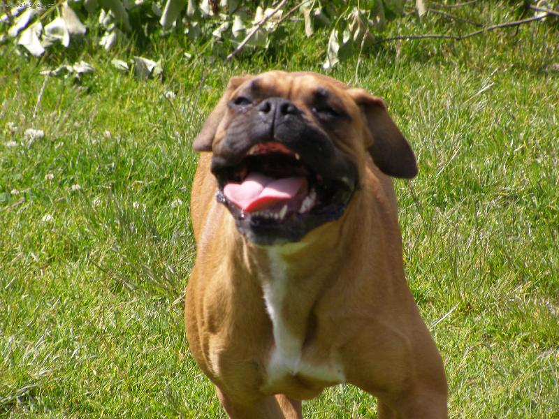 Foto: Ben-u� b��m...