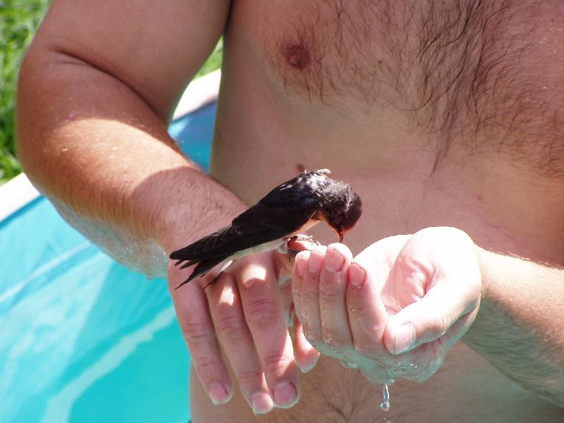 Foto: Velk� ��ze�